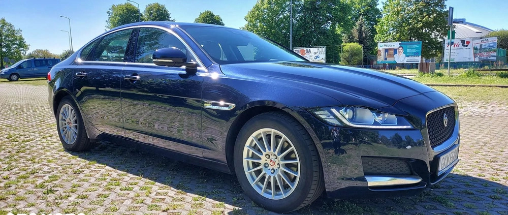 Jaguar XF cena 84900 przebieg: 198000, rok produkcji 2019 z Kwidzyn małe 106